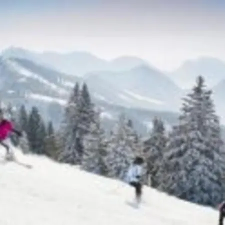 Sagwirt אורחן Krispl